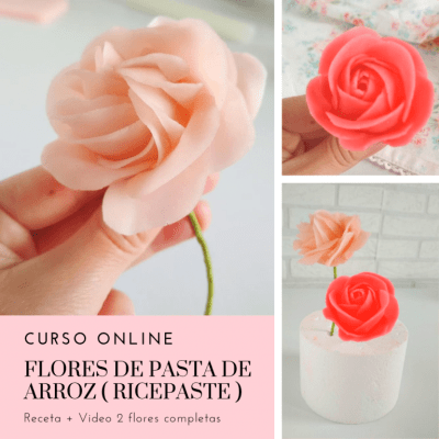 CURSO ONLINE FLORES DE PASTA DE ARROZ