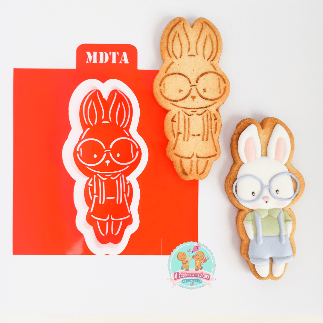 STENCIL CONEJITO FLOPPY CON GAFAS
