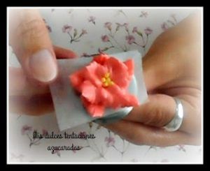 Flor de Pascua
